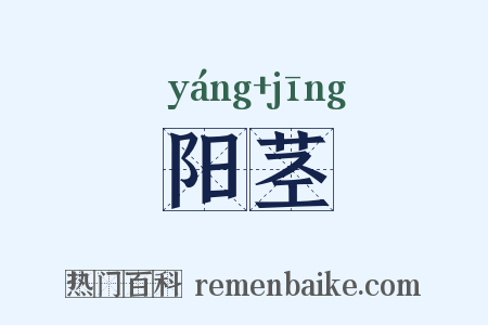 阳茎是什么意思的图片
